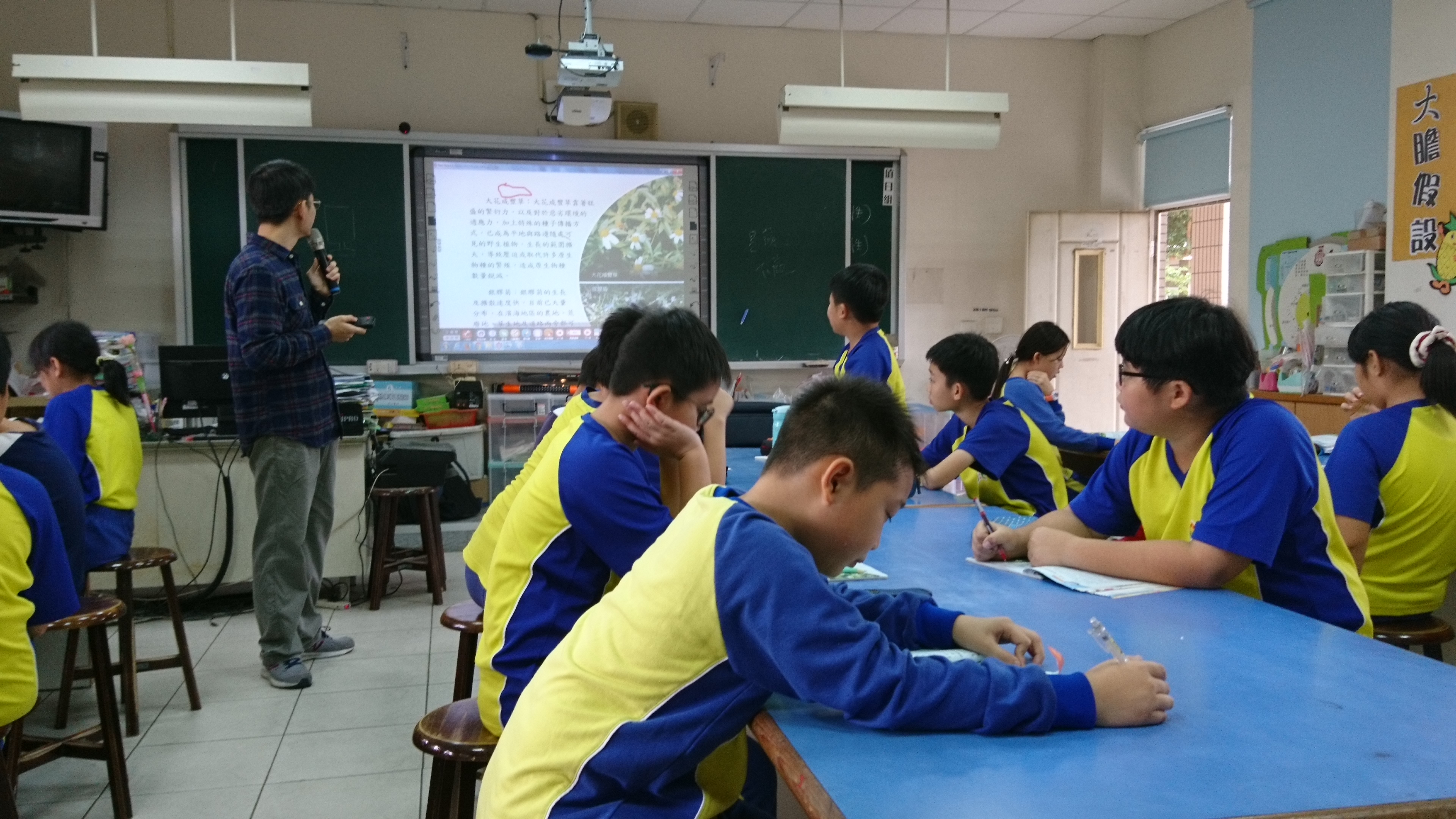 植物世界教學過程