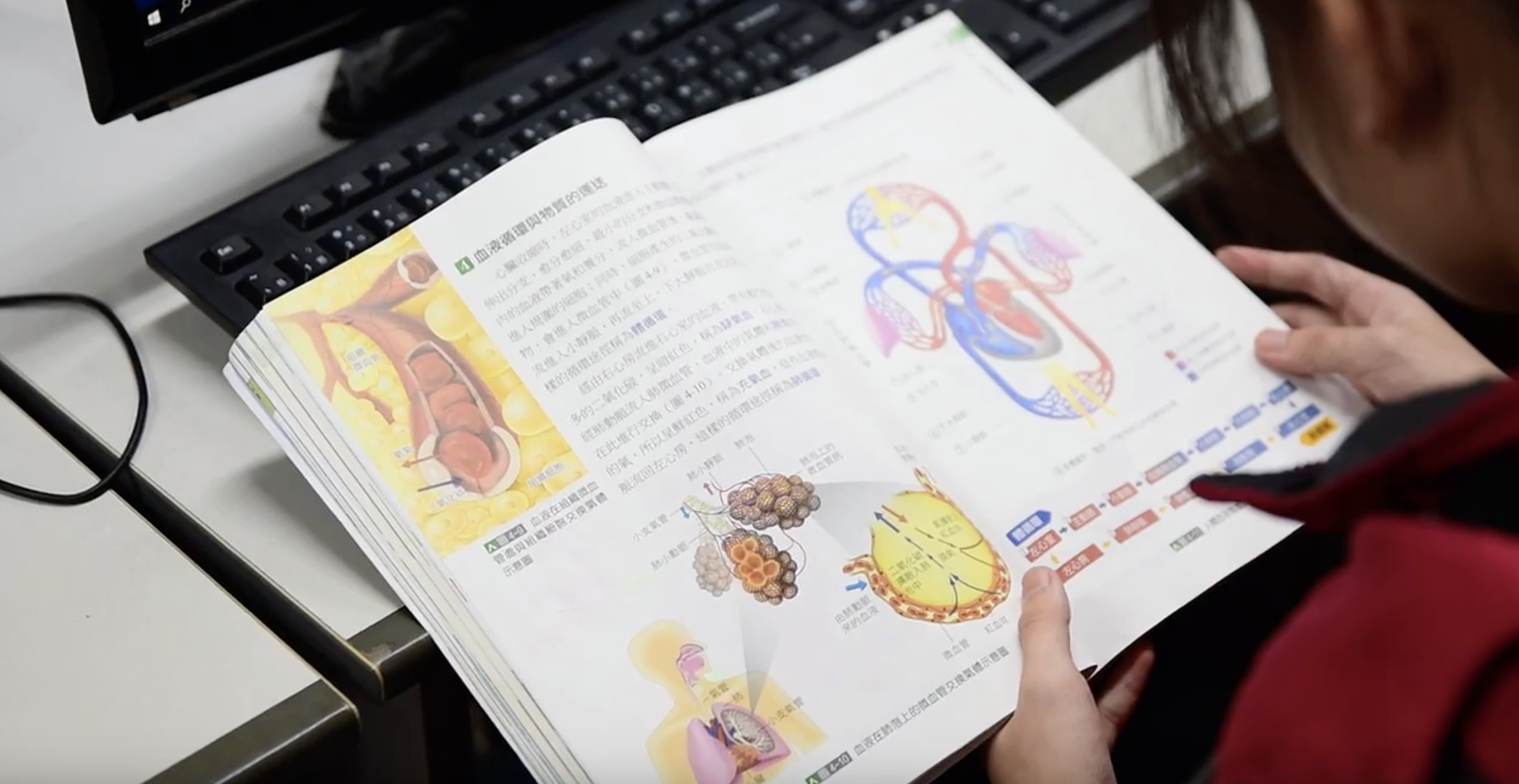 循環系統：心不煩，意不亂