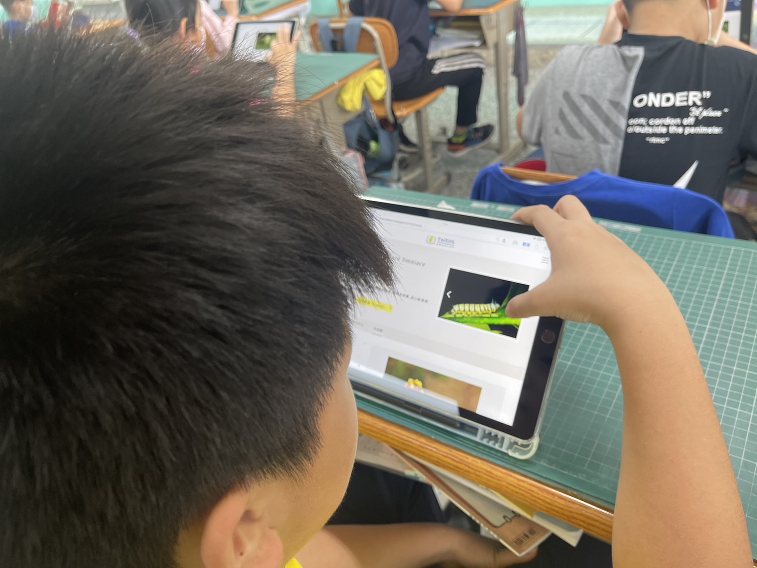 點選玉帶鳳蝶詞條上的連結，進入臺灣生命大百科網頁，搜尋其他相關的圖片和解說