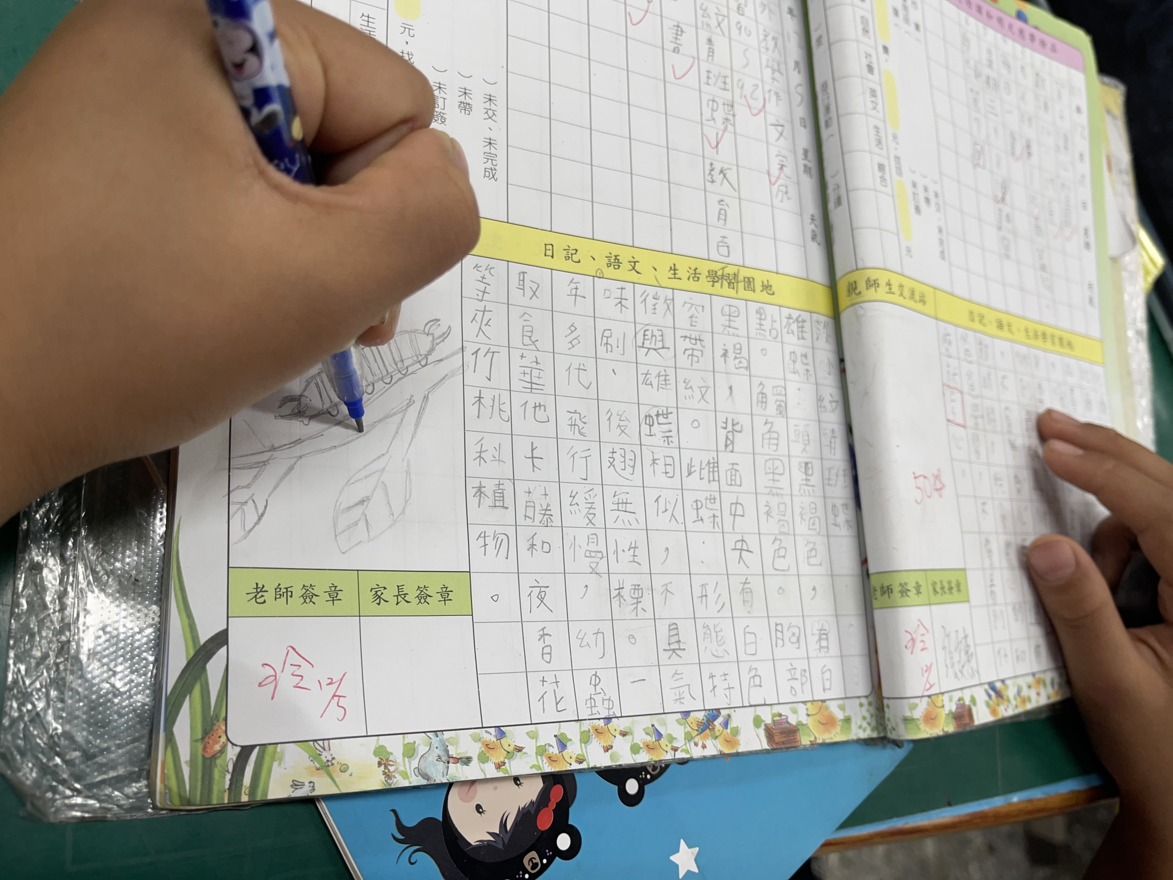 經過一連串的整理和消化後，整理在聯絡簿中，完成今天的自然小日記