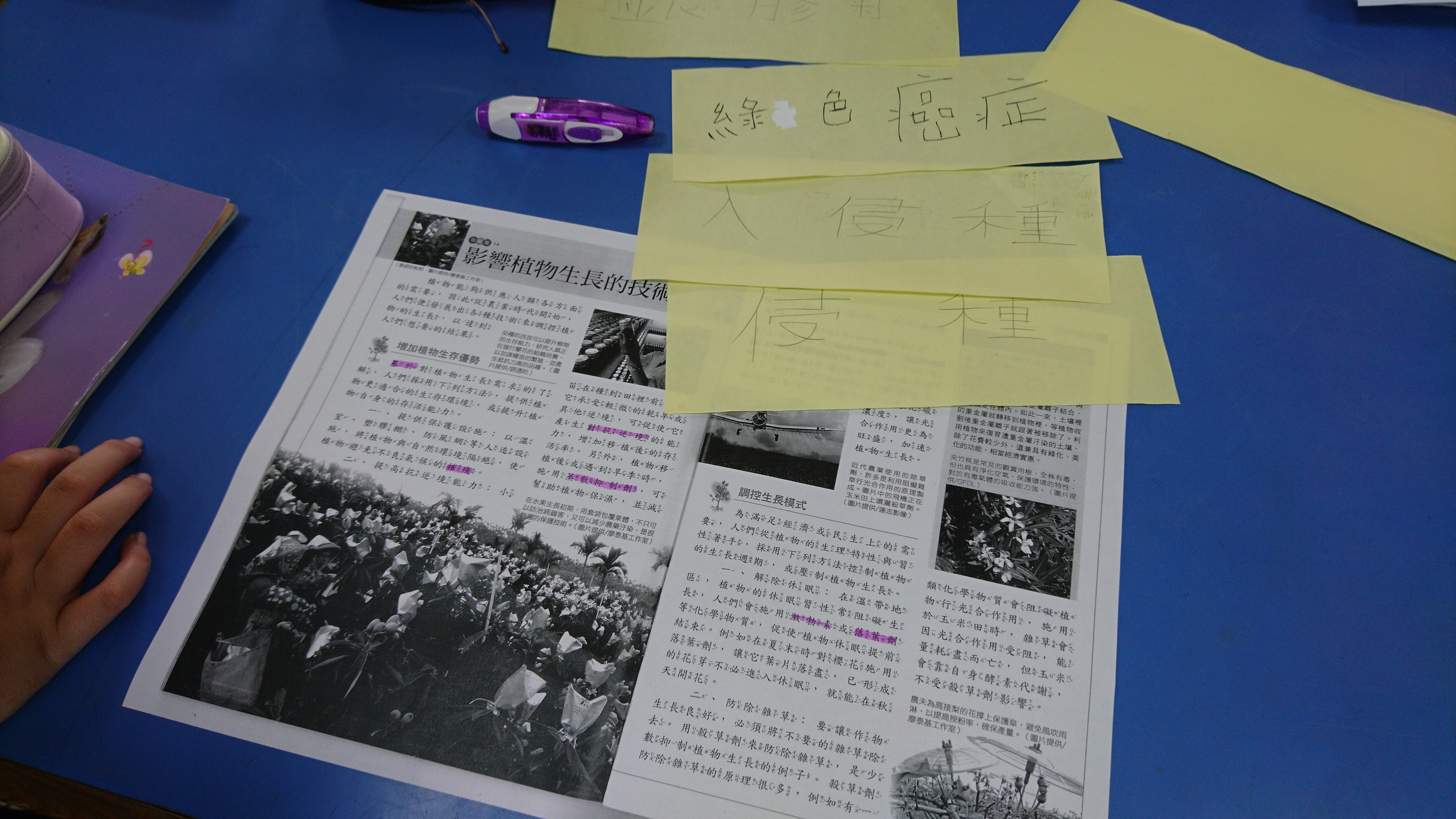 學生在教育百科上面查不到地名詞
