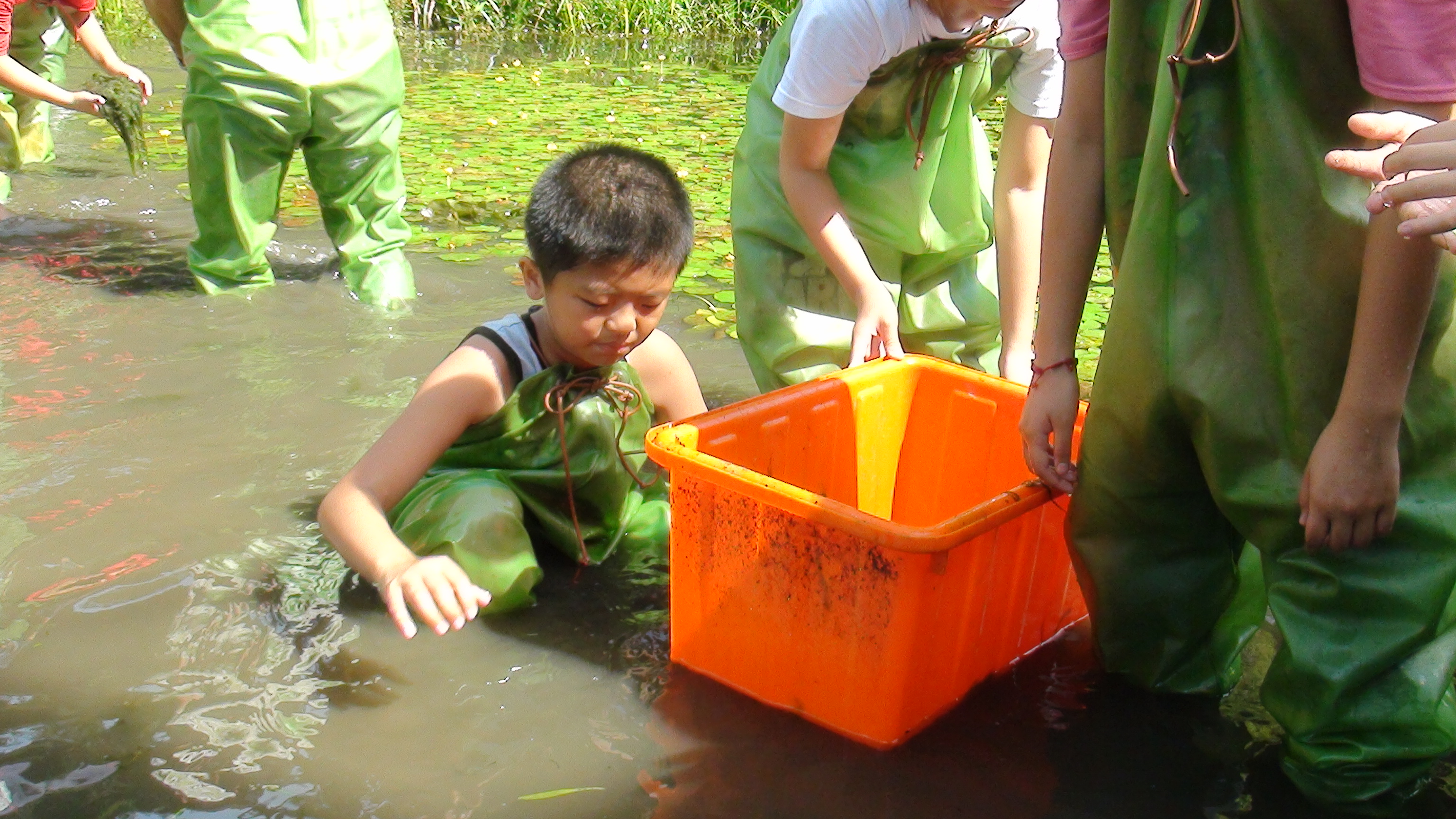 學生在水池撈水綿