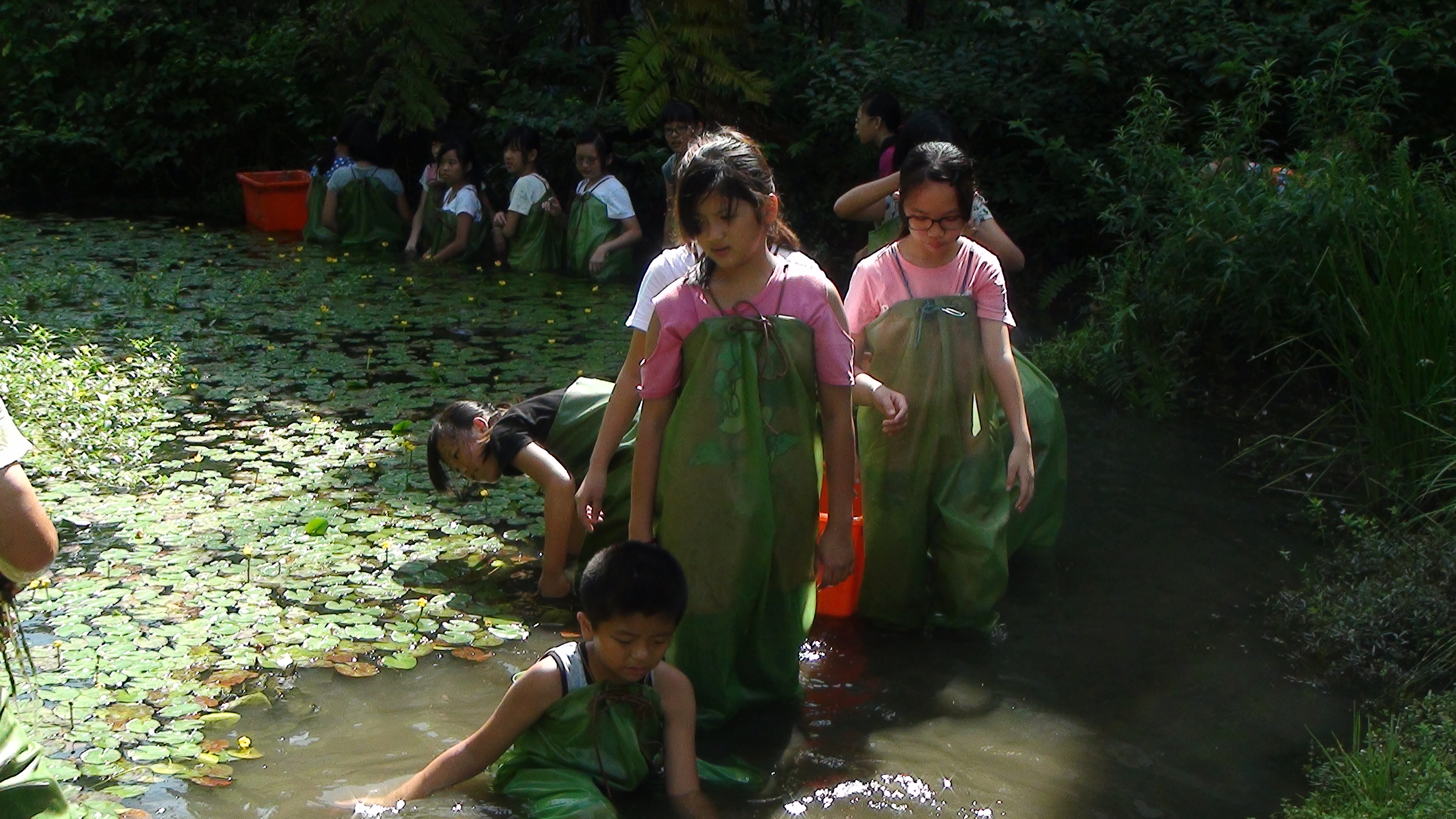 老師帶學生依同清理水池