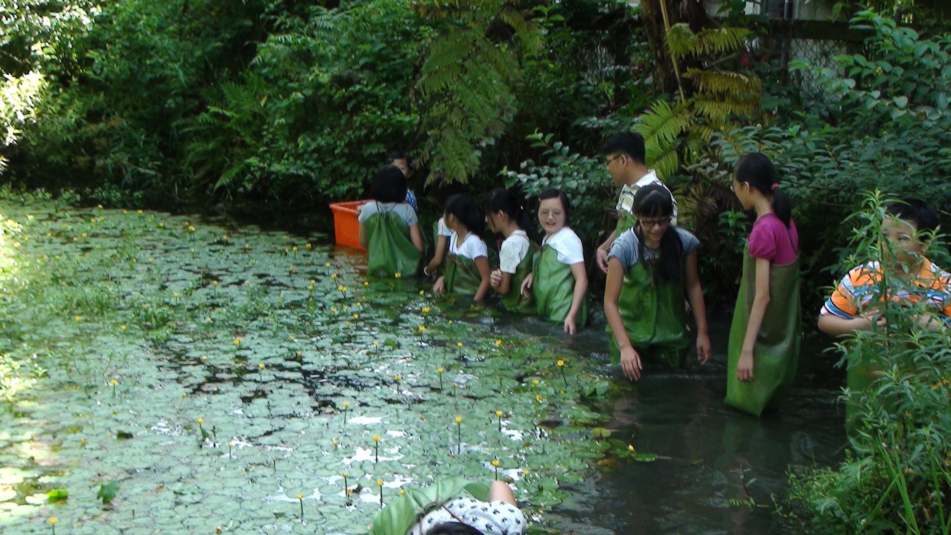讓孩子了解生命的教育場所