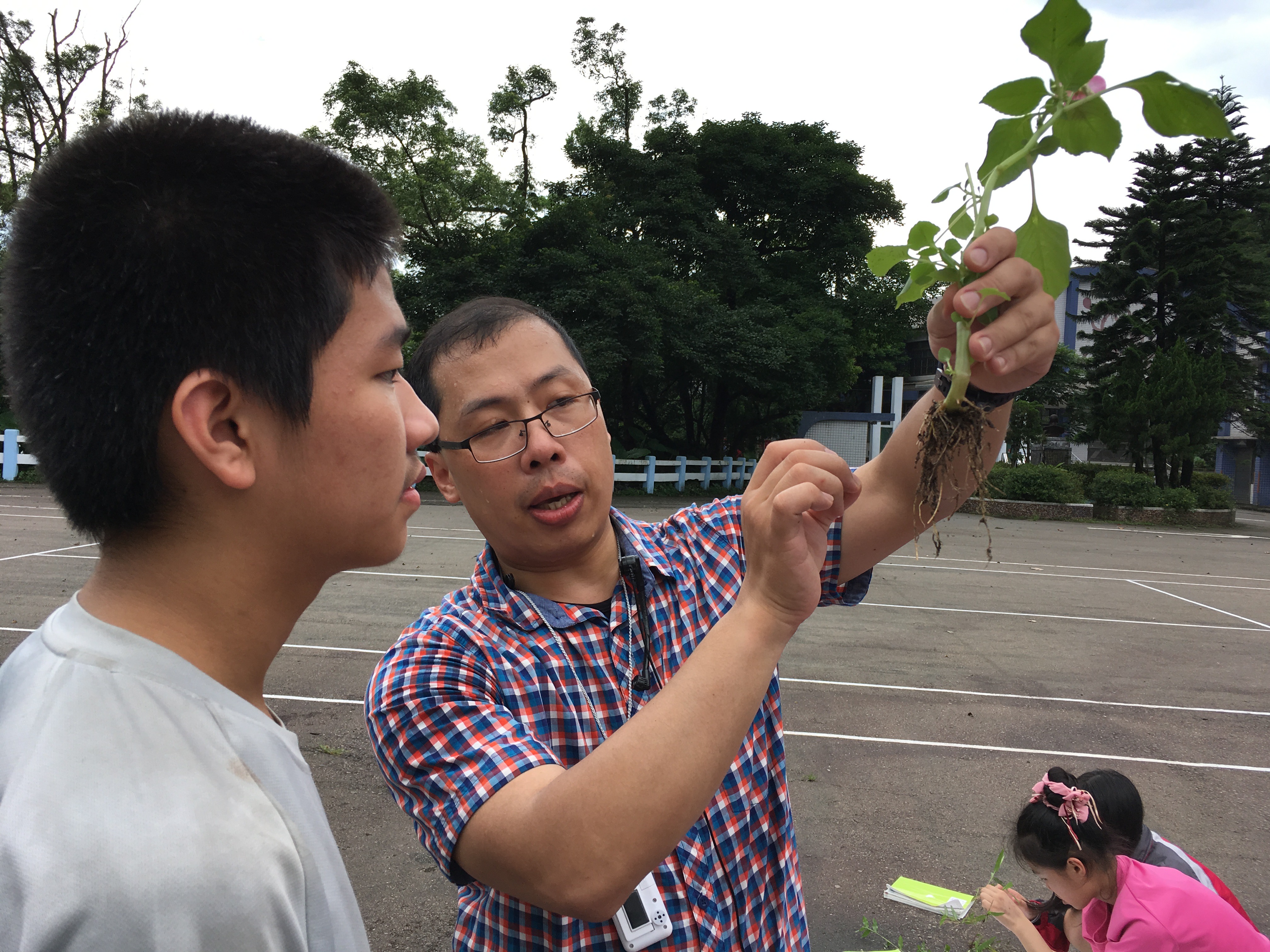 施老師的教學